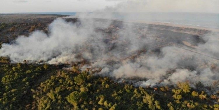 Samsun ormanlarında çıkan 22 yangında 21,28 ha örtü zarar gördü