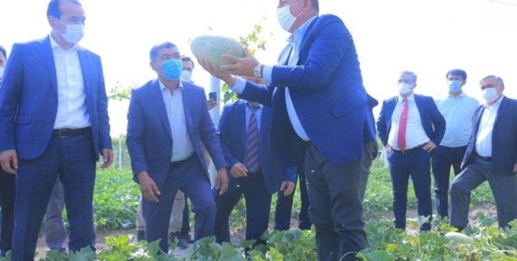 Çavuşoğlu, Özbekistan’da tarladan kavun ve karpuz topladı