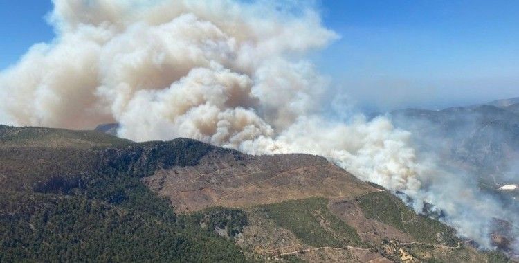 Mersin'deki orman yangını büyüyor