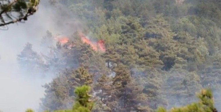 Osmaniye'de ormanlık alanda yangın çıktı