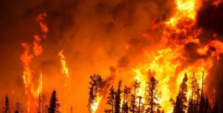 Hatay'da orman yangınına müdahale sürüyor