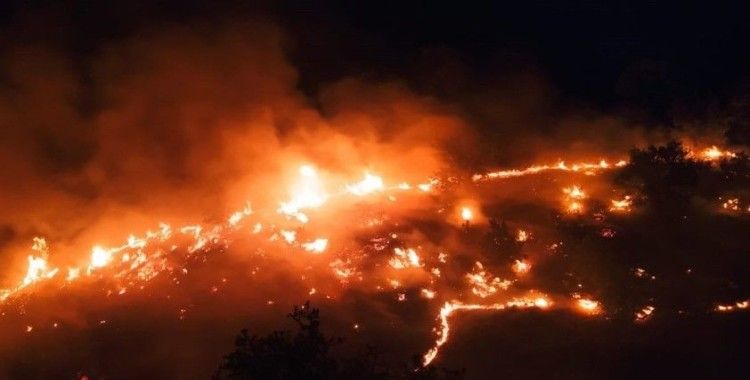 Elazığ'daki örtü yangını rüzgarın etkisiyle yeniden alevlendi