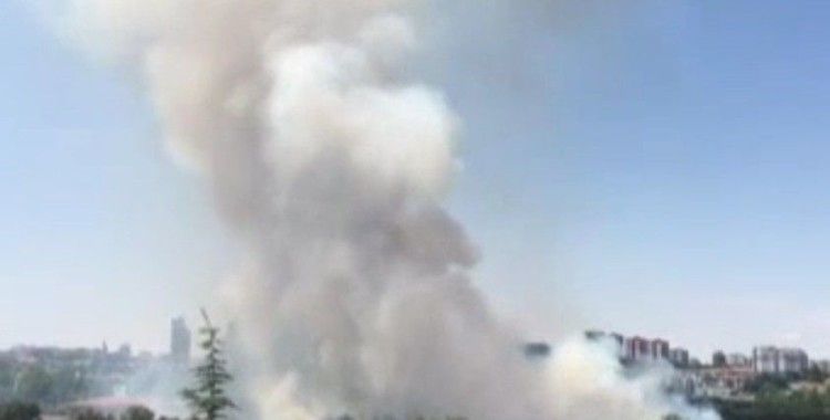 Ankara'da Atatürk Orman Çiftliği'nde korkutan yangın