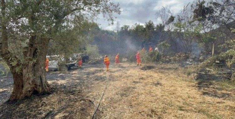 Adana'da ikinci orman yangını