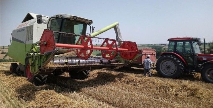 Türkiye'nin önemli hububat merkezlerinden Edirne'de buğday hasadı sona erdi