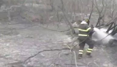 Sardunya Adası'ndaki yangın iki noktada devam ediyor