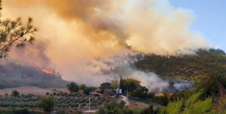 Tarım Orman-İş Sendikası Başkanı'ndan 'Manavgat' değerlendirmesi: Son 100 yılın en büyük yangınıyla karşı karşıyayız