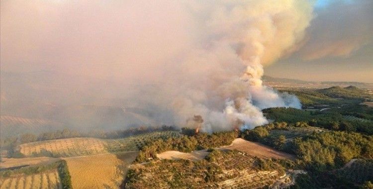 Osmaniye'deki orman yangınıyla ilgili 5 şüpheli gözaltına alındı