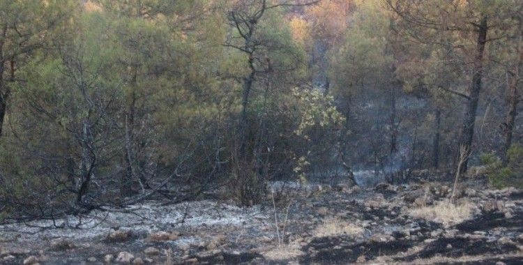 Kilis'teki orman yangını 5 buçuk saatte güçlükle kontrol altına alındı