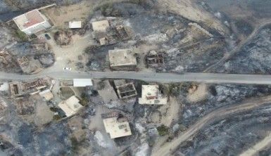 Bakan Pakdemirli: Manavgat kontrol altında ancak Akseki'de çıkan yangın devam ediyor