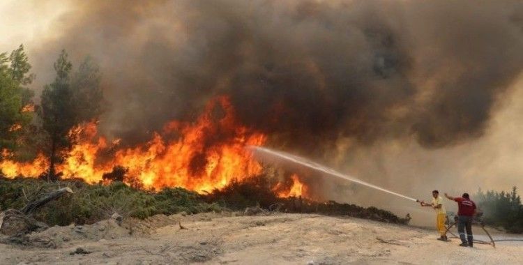 TEMA'dan yanan ormanlar için kampanya: 'Yaşamı Yeniden yeşerteceğiz'