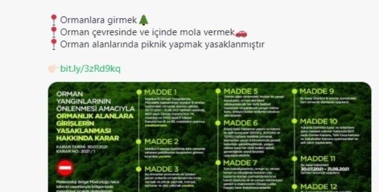İstanbul’da ormanlara giriş 1 ay boyunca yasaklandı