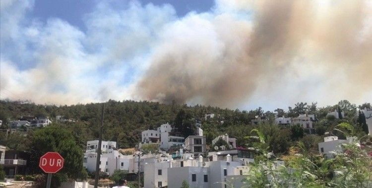 Bodrum'da makilik ve ormanlık alanda çıkan yangına müdahale ediliyor