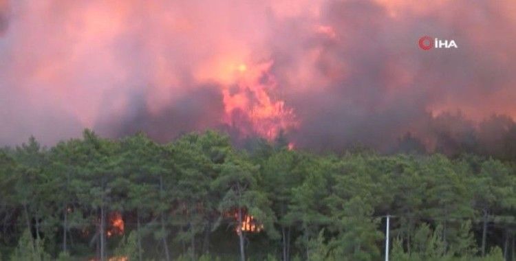 Yangın alanları afet bölgesi ilan edildi 