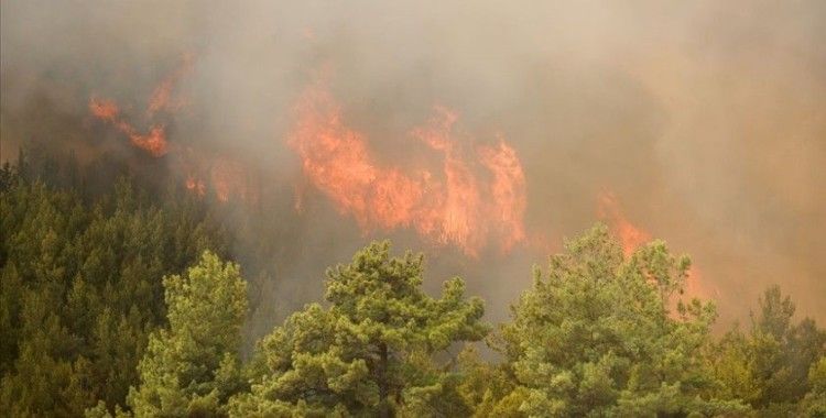 Bakan Pakdemirli Antalya'daki yangına müdahale eden iki kişinin şehit olduğunu bildirdi