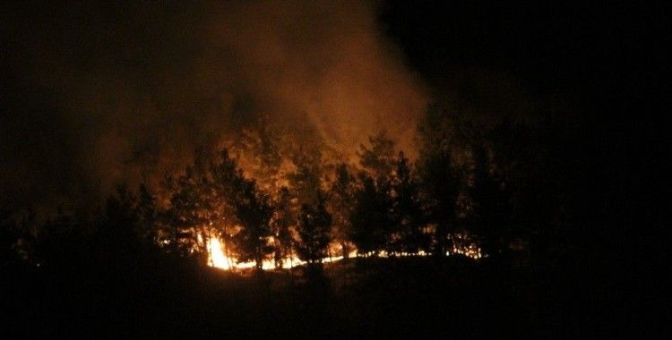 Manavgat’ta otellere yakın noktada yangın çıktı, silahını alan nöbete koştu