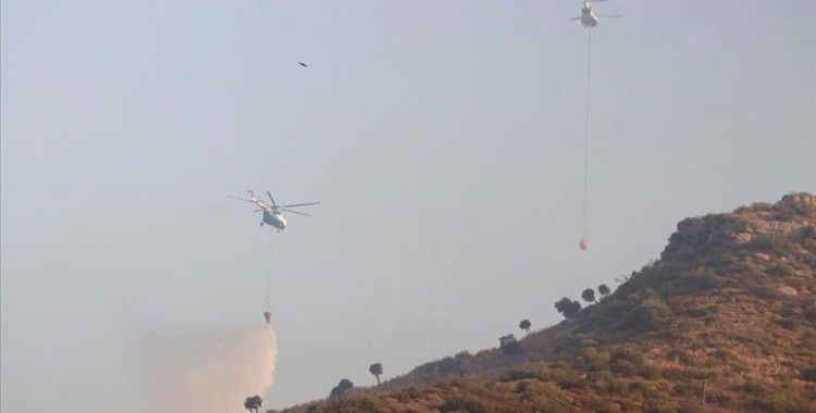 Muğla'da devam eden 6 yangına havadan ve karadan müdahale ediliyor