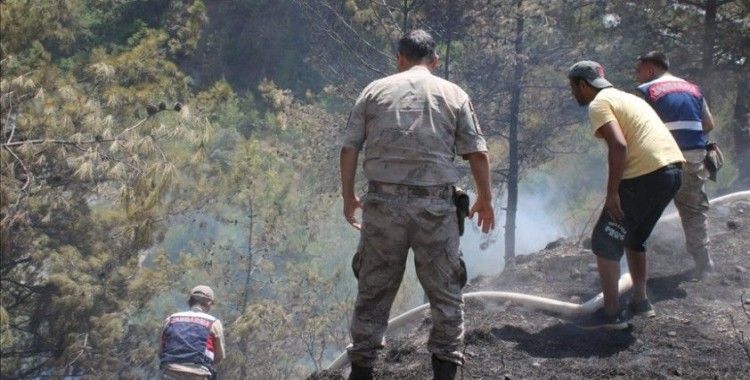 Hatay'da çıkan orman yangınına 2 söndürme helikopteri ve 5 arazözle müdahale ediliyor