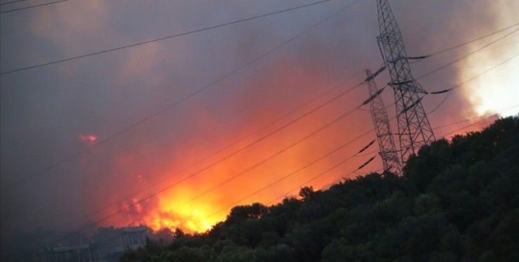 Orman yangını Kemerköy Termik Santrali'nin tel örgülerine kadar yaklaştı