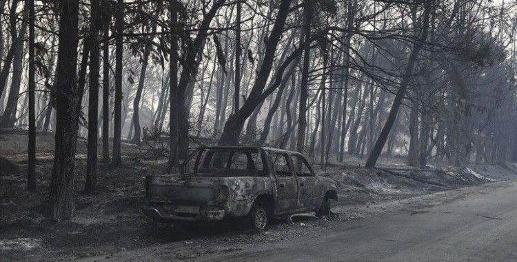 Yerküre yoğunluğu artan orman yangınlarının etkisi altında