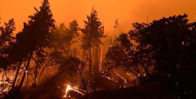 Dünya genelinde orman yangınları ile mücadele devam ediyor