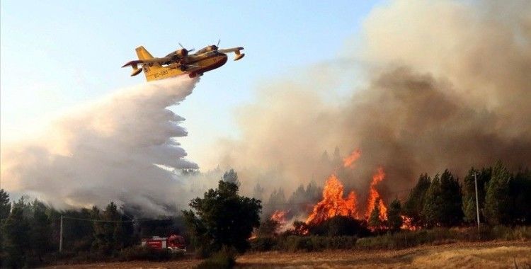 İspanya ve Portekiz'i etkilemesi beklenen sıcak hava dalgası orman yangını riskini artıracak