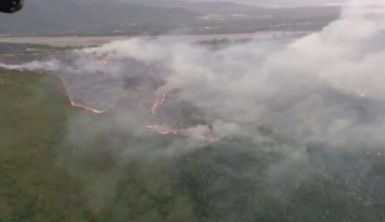 Azerbaycan'da ormanlık alanda yangın