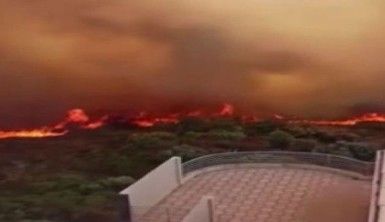 Orman yangınlarında hayatını kaybedenlerin sayısı 43'ye yükseldi