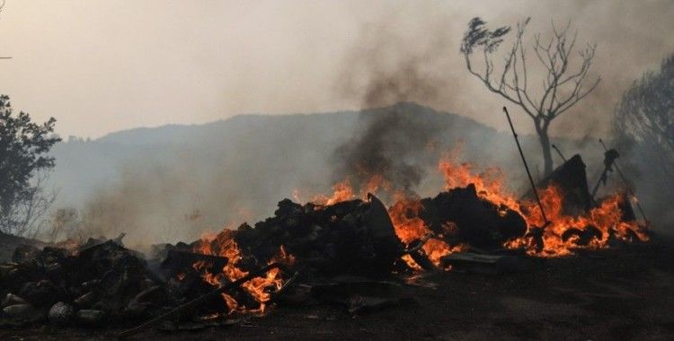 Yunanistan’da yaklaşık 100 bin hektarlık alan yandı