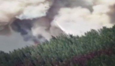 California'daki orman yangını devam ediyor