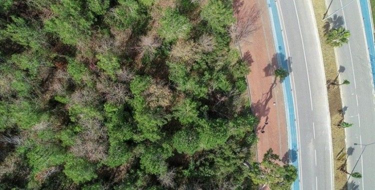 Antalya'da ormanlara giriş yasağı 30 Eylül'e kadar uzatıldı