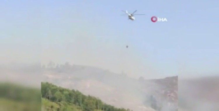 Azerbaycan’ın Gebele kentinde çıkan orman yangını kontrol altında