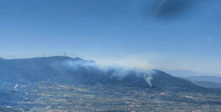 İzmir Kemalpaşa’da orman yangını