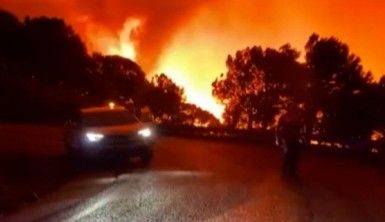 İspanya'da orman yangınında bir itfaiyeci hayatını kaybetti
