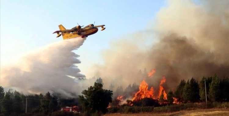 İspanya'nın güney bölgesindeki yangınlar devam ediyor
