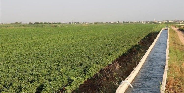 Tarımda gelecek yıl sulama ve altyapı yatırımlarına hız verilecek
