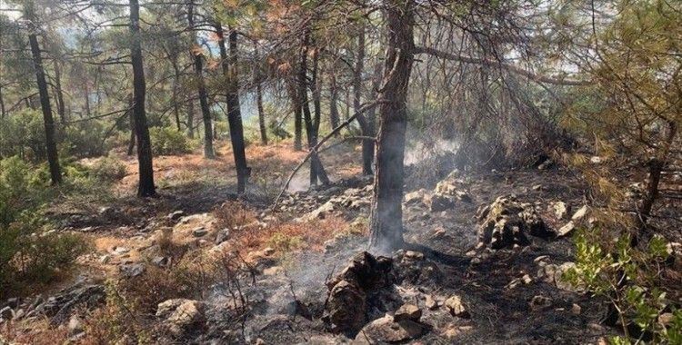 Muğla'da 13 noktada çıkan orman yangınları kontrol altına alındı