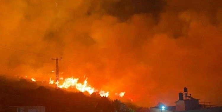 İsrail'de orman yangını