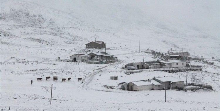 Karadeniz'de 4 ilin yüksek kesimlerinde kar etkili oluyor