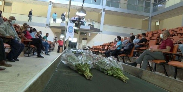 Çiçekçiler kooperatifi ile İBB mahkemenin kararını bekliyor