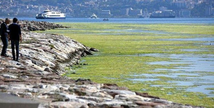 İzmir Karşıyaka'da deniz yeşile büründü