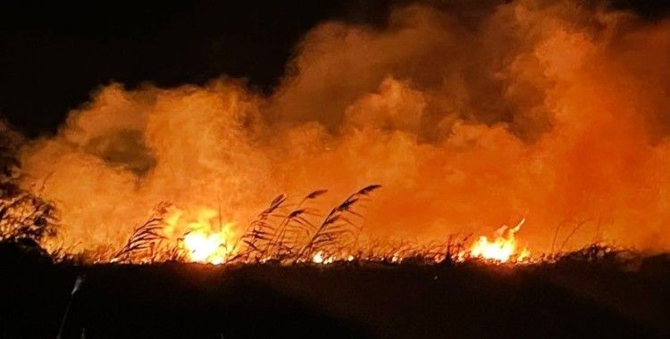 İznik Gölü kıyısında çıkan yangında 20 dönüm alan kül oldu