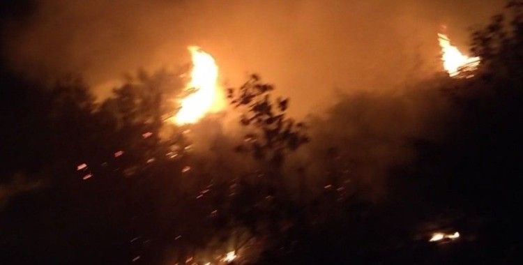 Lübnan’ın kuzeyindeki orman yangınına ordu müdahalesi