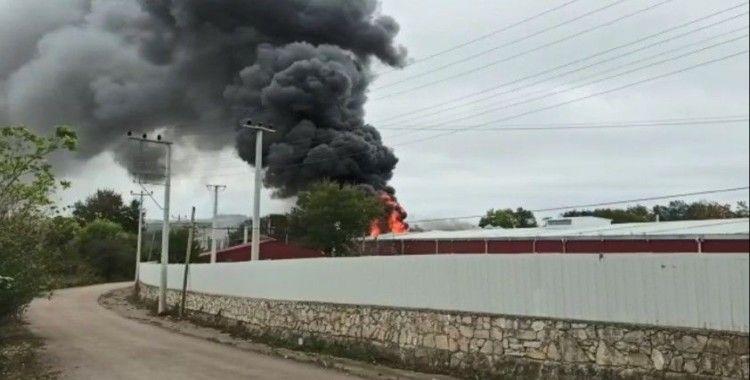 Kocaeli'de yağ fabrikasında yangın