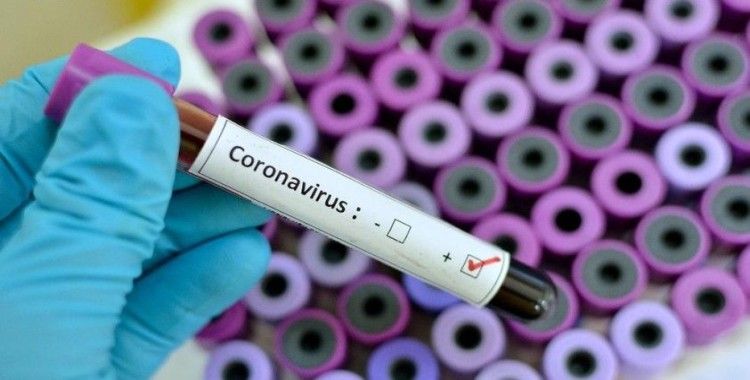 Günlük koronavirüs verileri