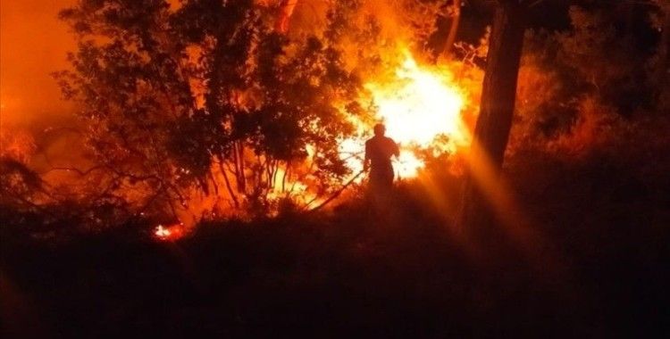 Bodrum'da çıkan orman yangını söndürüldü