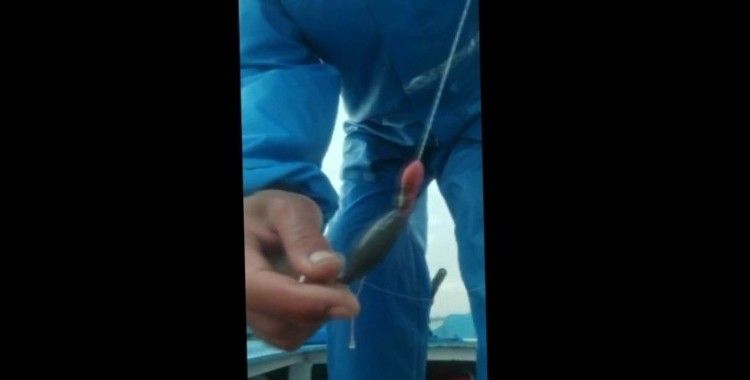 Pendik’te balıkçıların oltasına takılan yapışkan madde tedirgin etti