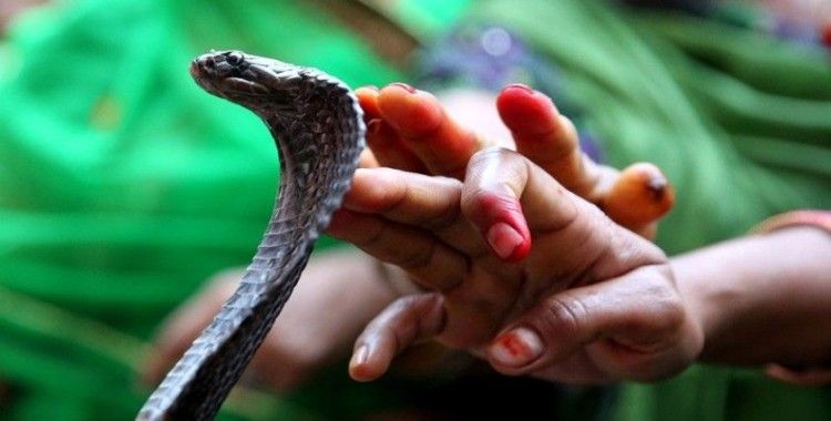 Hindistan’da eşini piton yılanıyla öldüren adama iki kez müebbet