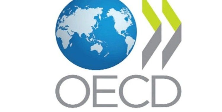 OECD tarafından 'Bir Bakışta Eğitim Raporu 2021' yayınlandı