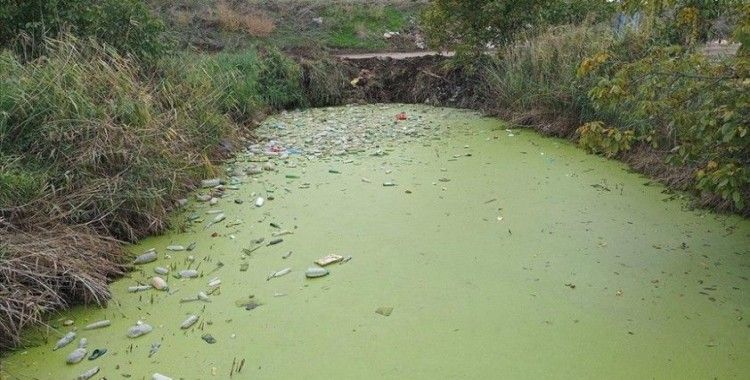 Edirne'de yosun ve çöplerle kaplı tahliye kanalında temizlik çalışması başlatıldı